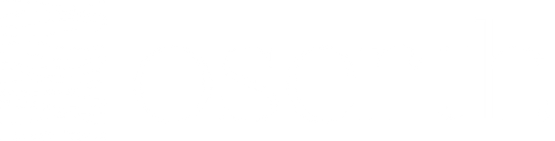 white logo for header section | oserth logo